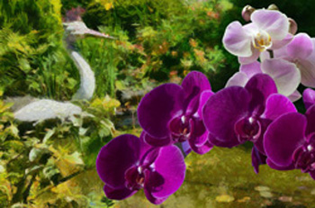 13_1_Orchids in monet`s garden 251